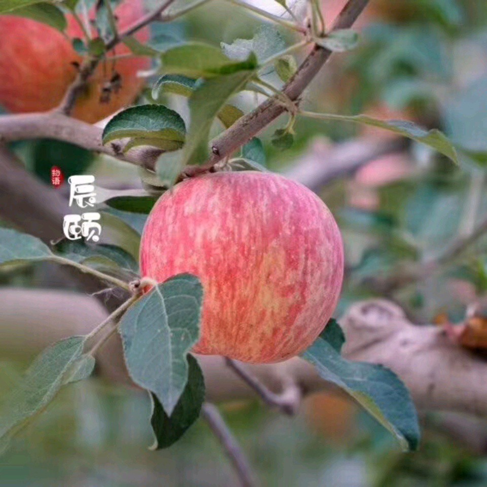 北京舒唱科技股份有限公司