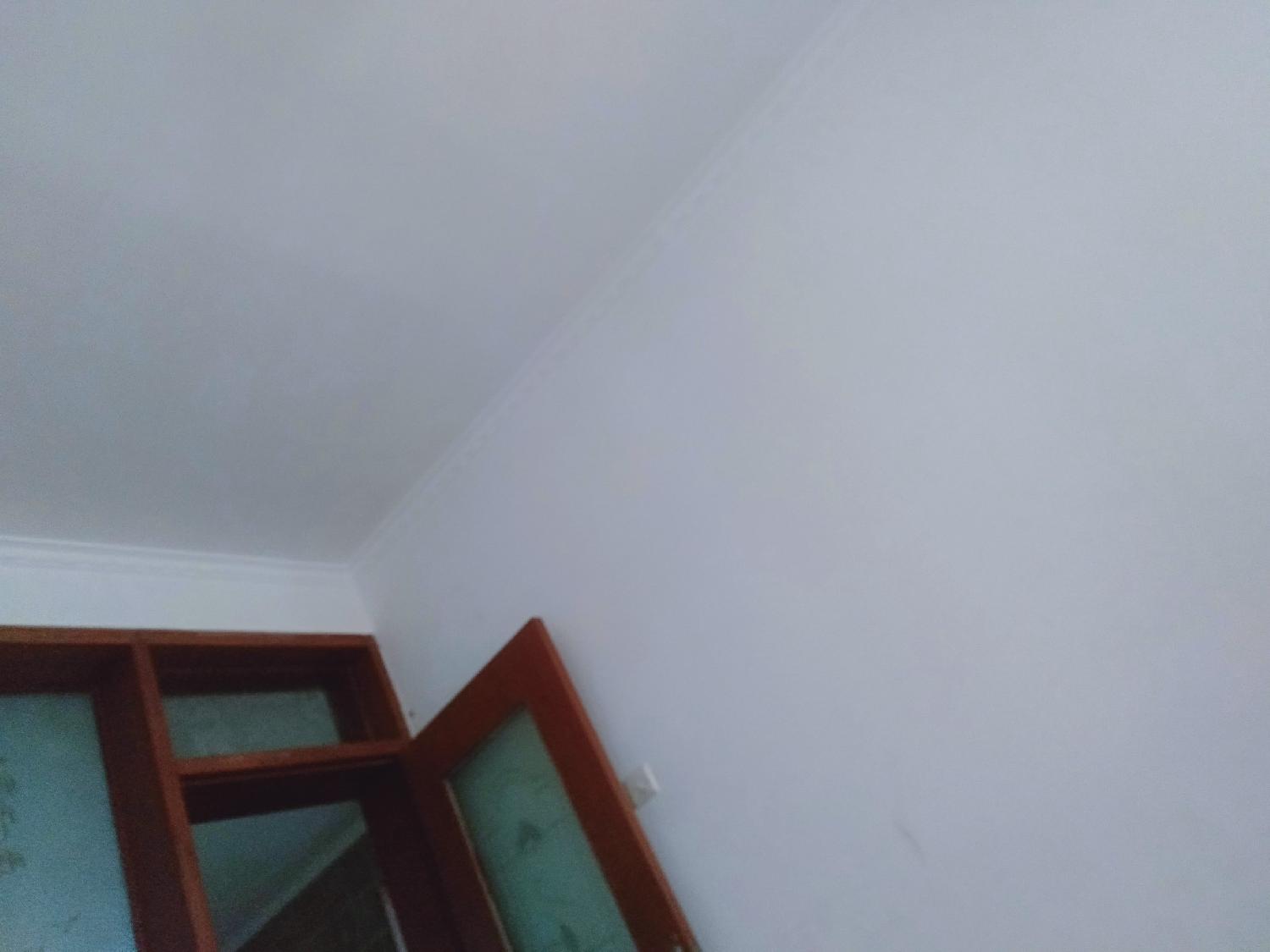 山东喜鲸文化传媒有限公司