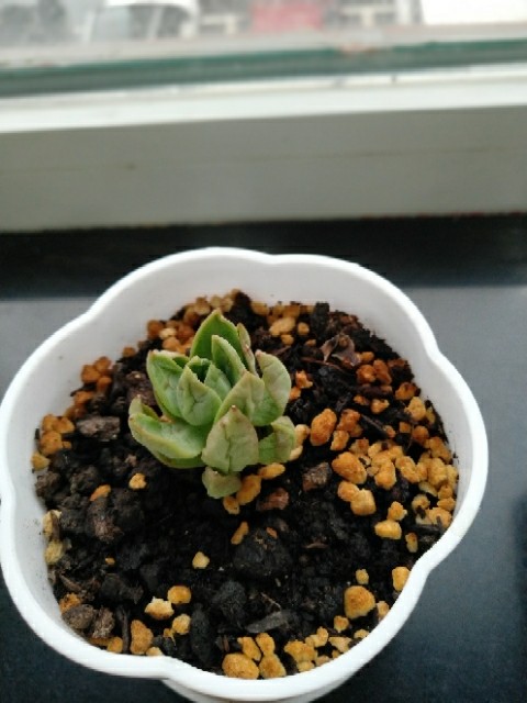 上海安必生制药技术有限公司